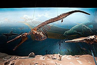 《德州电锯杀人狂》停更 不再有新内容支持