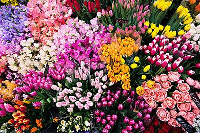 《无人深空》“奇点”更新预告视频 现已正式上线